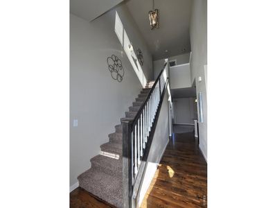 New construction Single-Family house 1188 Crown Sparrow St, Johnstown, CO 80534 - image 17