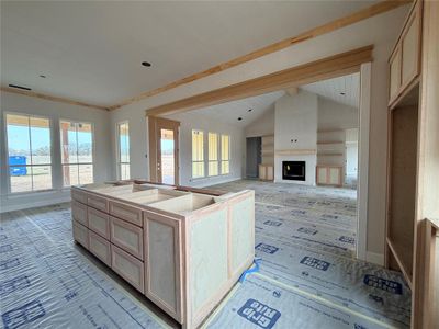 New construction Single-Family house D5 Rebekah Pear Orchard Rd, Granbury, TX 76048 - image 12