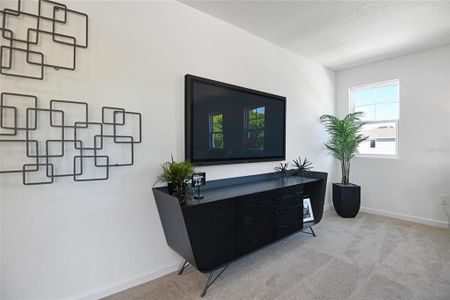 New construction Single-Family house 14522 Banks Ct, Parrish, FL 34219 plan Tourmaline - image 16