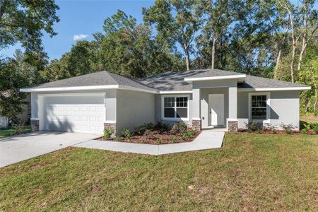 New construction Single-Family house 19230 Sw 97Th St, Dunnellon, FL 34432 - image