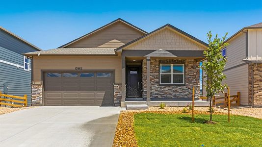 New construction Single-Family house 13446 Valentia St, Thornton, CO 80602 Chatham- photo 0