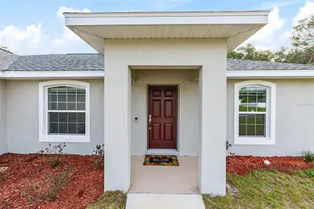 New construction Single-Family house 16779 Sw 17Th Ave, Ocala, FL 34473 - image