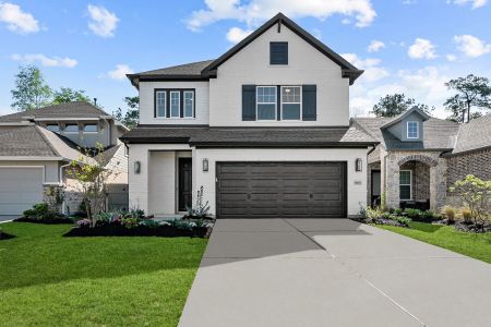ARTAVIA 40' Homesites by David Weekley Homes in Conroe - photo 21 21