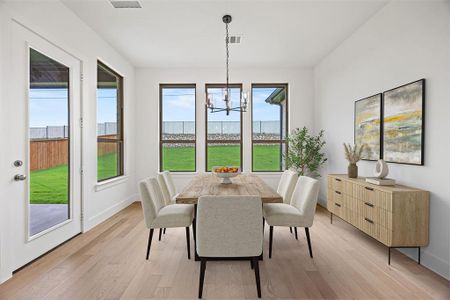 New construction Single-Family house 4201 Gail Ln, Providence Village, TX 76227 plan Dakota - image 8