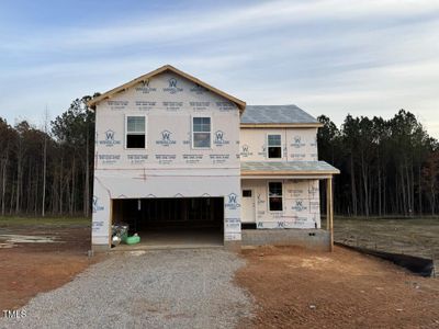 New construction Single-Family house 9133 Phoenix Court, Spring Hope, NC 27882 - photo 0