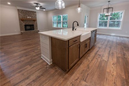 New construction Single-Family house 1446 Red Oak Ln, Loganville, GA 30052 The Jackson- photo 6 6