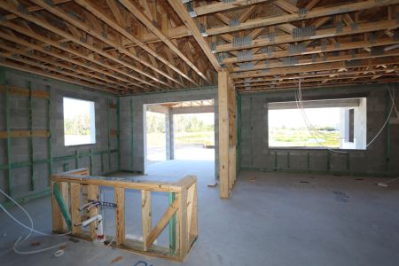 New construction Single-Family house 31222 Hayman Loop, Wesley Chapel, FL 33545 Windsor- photo 7 7