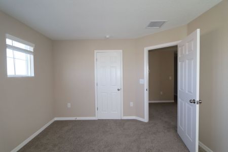 New construction Single-Family house 38326 Tobiano Loop, Dade City, FL 33525 Casanova- photo 120 120