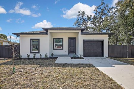New construction Single-Family house 507 E Baker, Tampa, FL 33603 - image