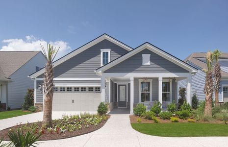 New construction Single-Family house 1314 Saw Palmetto St, North Myrtle Beach, SC 29582 plan Prestige - image