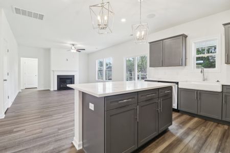 New construction Single-Family house 682 Shumard Oak Pl Nw, Aiken, SC 29801 plan Porter II - image 8