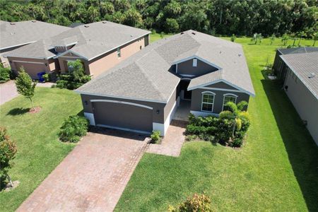 New construction Single-Family house 2341 Crowned Eagle Cir Sw, Vero Beach, FL 32962 - image