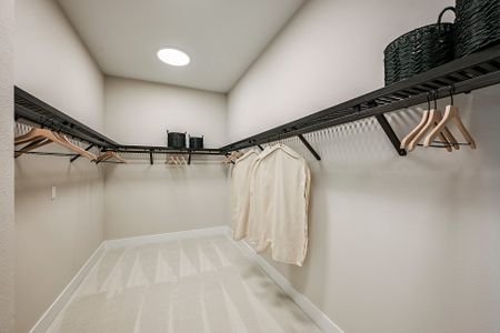 New construction Single-Family house Parrish, FL 34219 plan Key West II - image 10