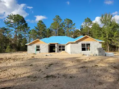 New construction Single-Family house 12897 SW 94th Ln, Dunnellon, FL 34432 - image
