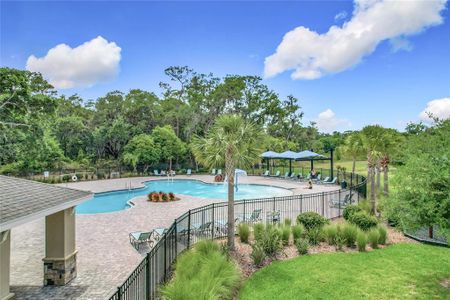 New construction Single-Family house 1304 Berry Ln, Davenport, FL 33837 null- photo 50 50
