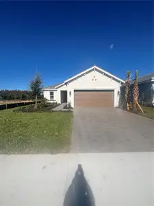 New construction Single-Family house 30087 Imperati Blvd, Wesley Chapel, FL 33543 plan Farnese - image