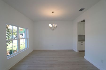 New construction Single-Family house 20288 Oriana Loop, Land O' Lakes, FL 34638 Coronado II- photo 89 89