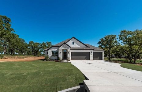 New construction Single-Family house 112 Rj Smith Dr, Boyd, TX 76023 - image