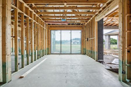 New construction Single-Family house 421 Calabrese Ct, Fairview, TX 75069 null- photo 15 15