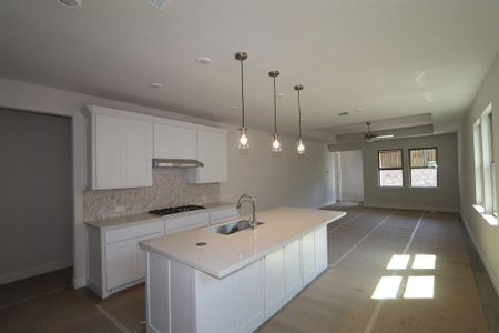 New construction Single-Family house 451 Cherry Laurel Dr, Oak Point, TX 75068 Alto- photo 3 3