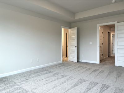 New construction Single-Family house 1524 Yellowwood Ct, Reidville, SC 29375 plan The Carson - image 17