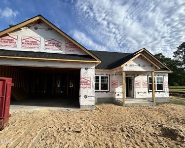 New construction Single-Family house 3794 Chatsworth Dr, La Grange, NC 28551 - image