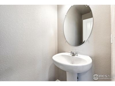 New construction Duplex house 275 Shoveler Wy, Johnstown, CO 80534 plan Congaree - image 10