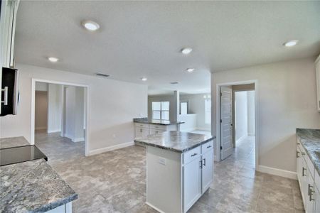 New construction Single-Family house 4023 Tullamore Ln, Auburndale, FL 33823 null- photo 11 11