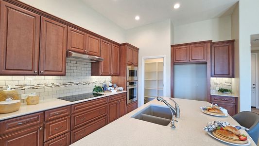 New construction Single-Family house 5407 W Windmill Ln, Eloy, AZ 85131 Mandara- photo 6 6