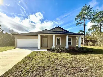 New construction Single-Family house 30260 W Thyme Ave, Eustis, FL 32736 - image