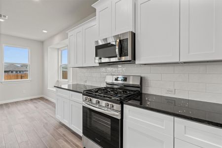 New construction Single-Family house 329 Stellar Wind Dr, Georgetown, TX 78628 Lennox- photo 16 16