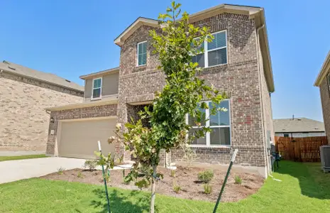 New construction Single-Family house 16805 Bustillos Pass, Manor, TX 78653 plan Taylor - image