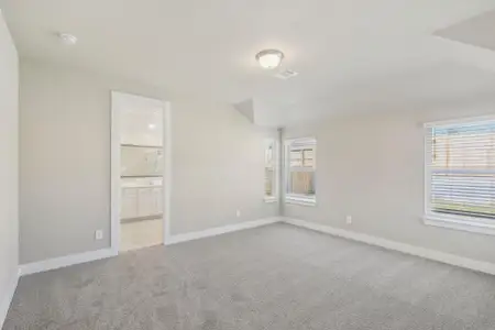 New construction Single-Family house 116 Bay Bridge Ct, Montgomery, TX 77316 plan The Oleander (C401) - image