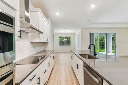 New construction Single-Family house 11303 Striped Bass Ct, New Port Richey, FL 34654 - image 7