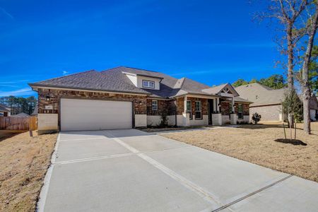 Villages Of Heritage Point by DH Homes in Magnolia - photo 0 0