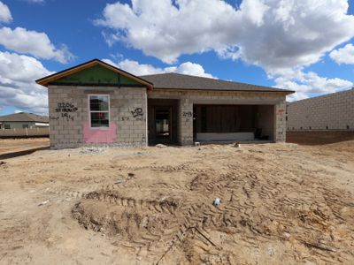 New construction Single-Family house 12206 Stirrup Dr, Dade City, FL 33525 plan Ventura - image