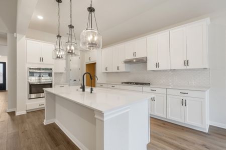 New construction Single-Family house Pflugerville, TX 78660 plan Palmer - image 5
