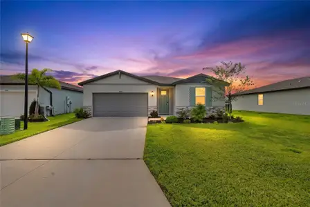 New construction Single-Family house 7124 Amelia River Dr, Parrish, FL 34219 - image