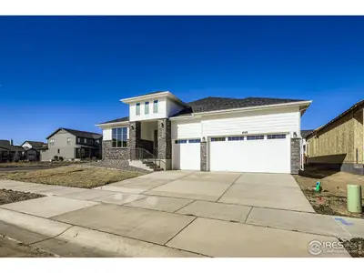 New construction Single-Family house 1648 Sundown Run Dr, Windsor, CO 80550 plan Plan C555 - image