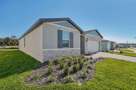 New construction Single-Family house 851 Sunshower Dr, Lady Lake, FL 32159 plan Foxglove - image