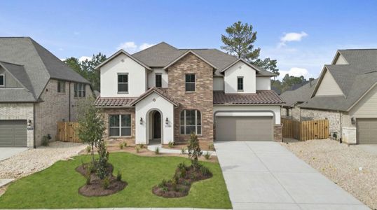 New construction Single-Family house 41734 Wendele Wy, Montgomery, TX 77316 plan Briggs - image