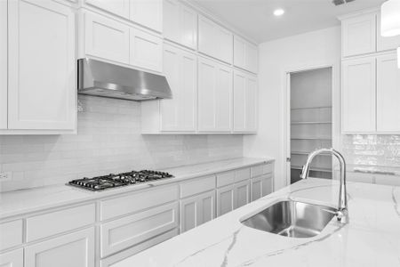 New construction Single-Family house 17205 Hope Bergman Dr, Pflugerville, TX 78660 - image 8