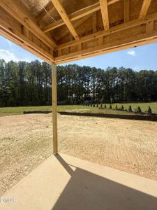 New construction Single-Family house 438 Providence Creek Dr, Fuquay Varina, NC 27526 - image