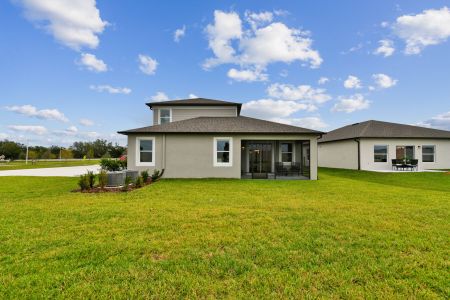 New construction Single-Family house 11855 Hilltop Farms Dr, Dade City, FL 33525 Picasso Bonus- photo 90 90