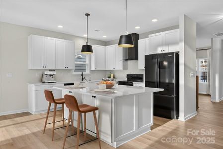 New construction Single-Family house 18024 Wilbanks Dr, Charlotte, NC 28278 plan Savannah - image 12