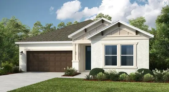 New construction Single-Family house 33618 Castaway Lp, Wesley Chapel, FL 33543 plan Antigua - image