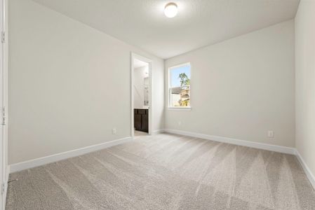 New construction Single-Family house 5315 Silk Petal Dr, Rosenberg, TX 77471 plan The Wilson - image 16