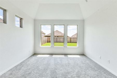 New construction Single-Family house 13809 Bothwell Pl, Manor, TX 78653 Premier Series - Rosewood- photo 15 15