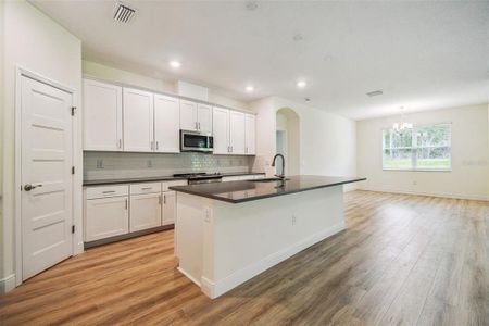 New construction Single-Family house 11347 Striped Bass Ct, New Port Richey, FL 34654 plan Pompei - image 15