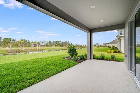 New construction Single-Family house 2061 Longliner Lp, Wesley Chapel, FL 33543 Antigua- photo 19 19